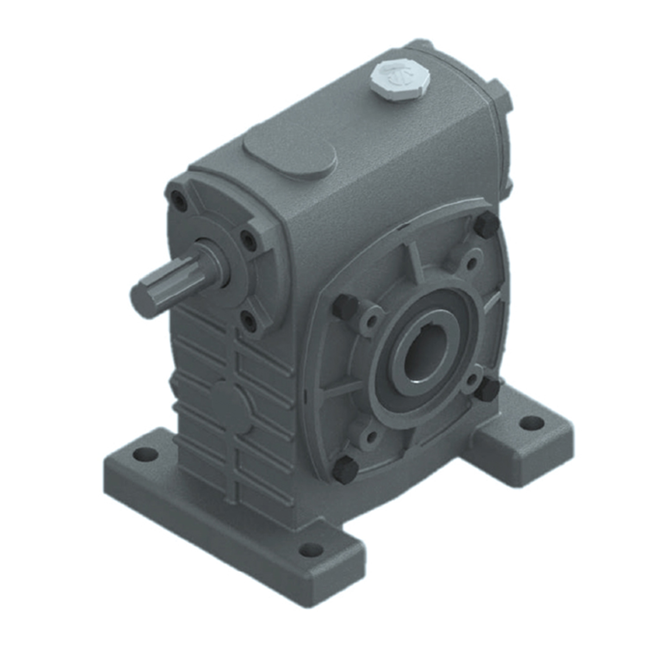 Worm Gear Reducer PAH