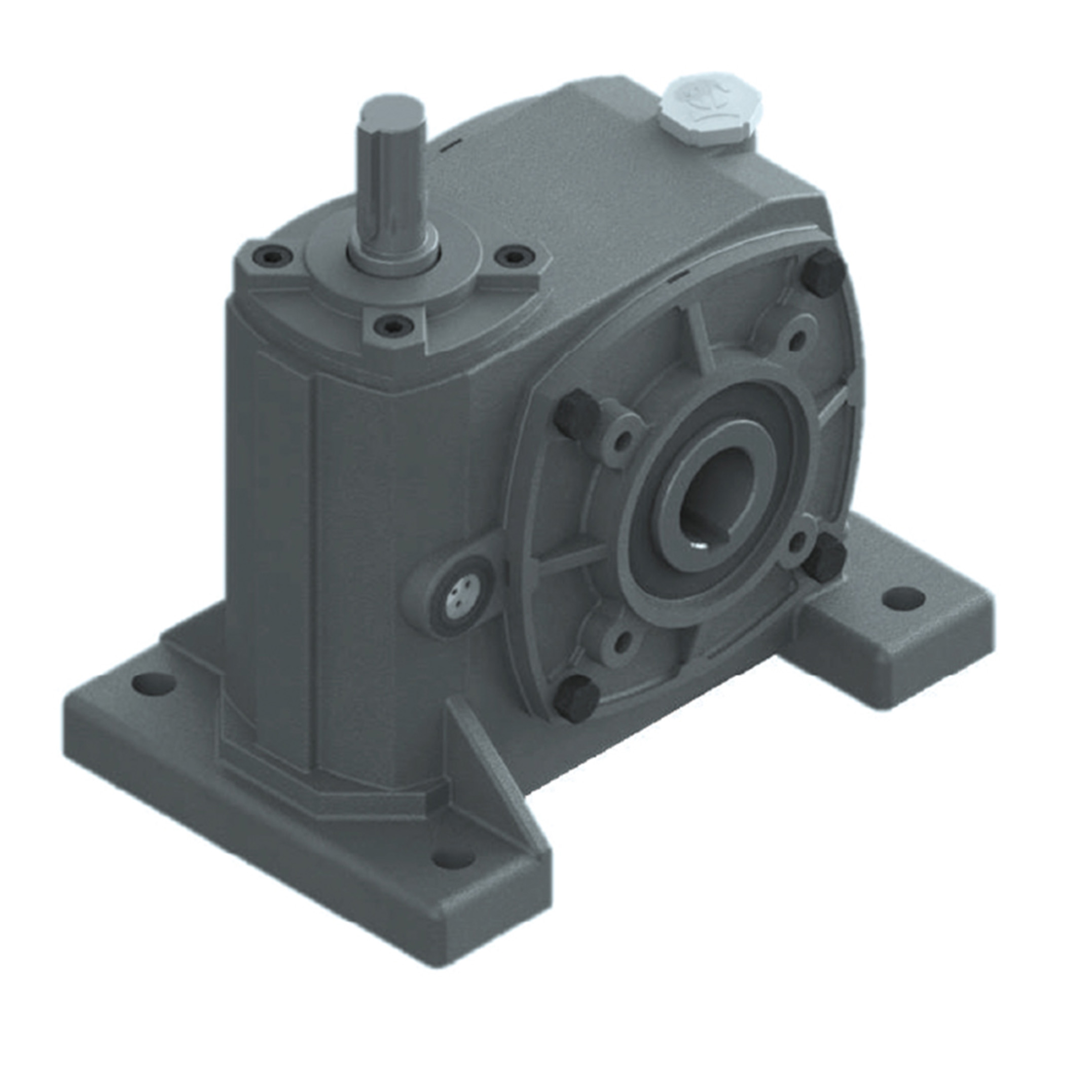 Worm Gear Reducer PLH