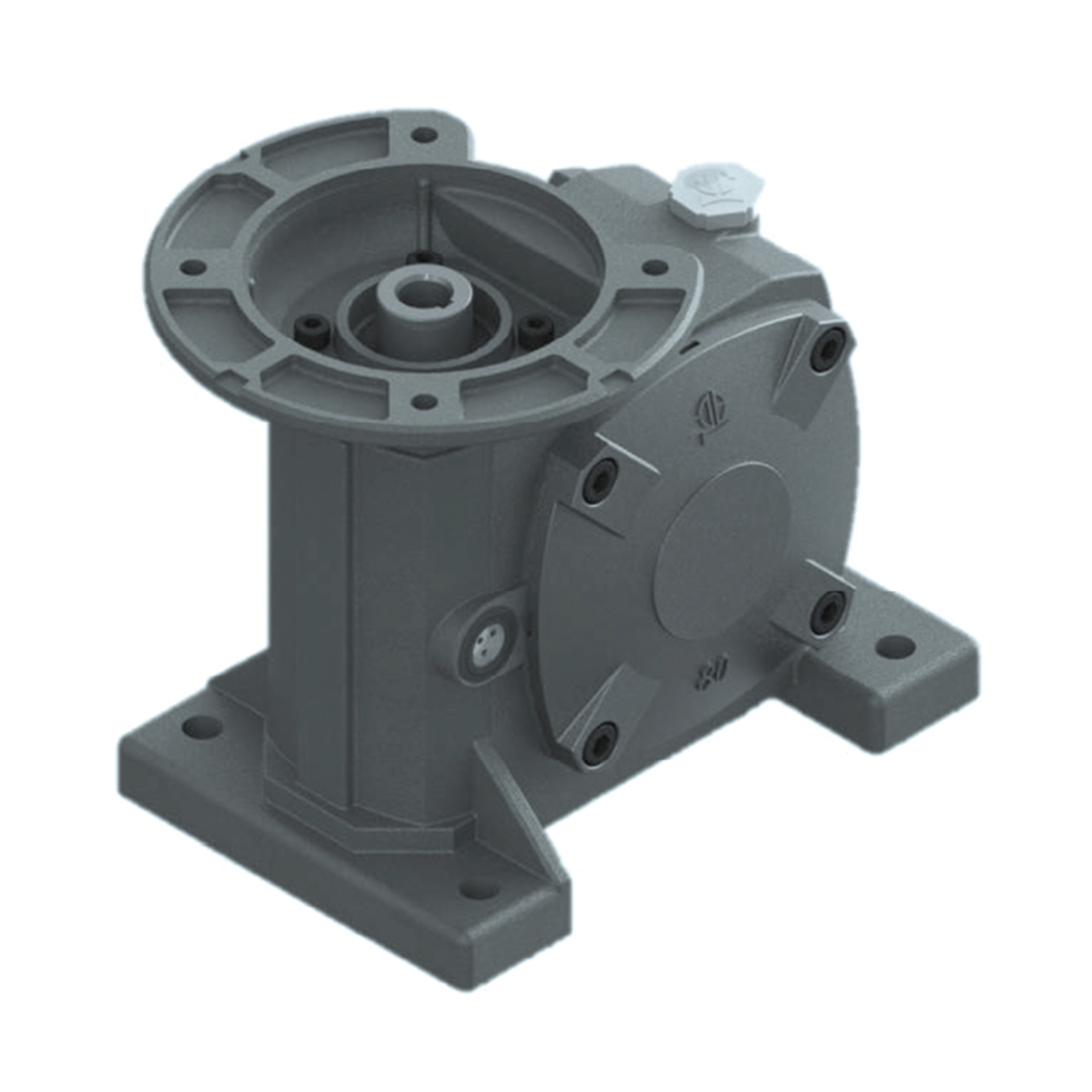Worm Gear Reducer PLE