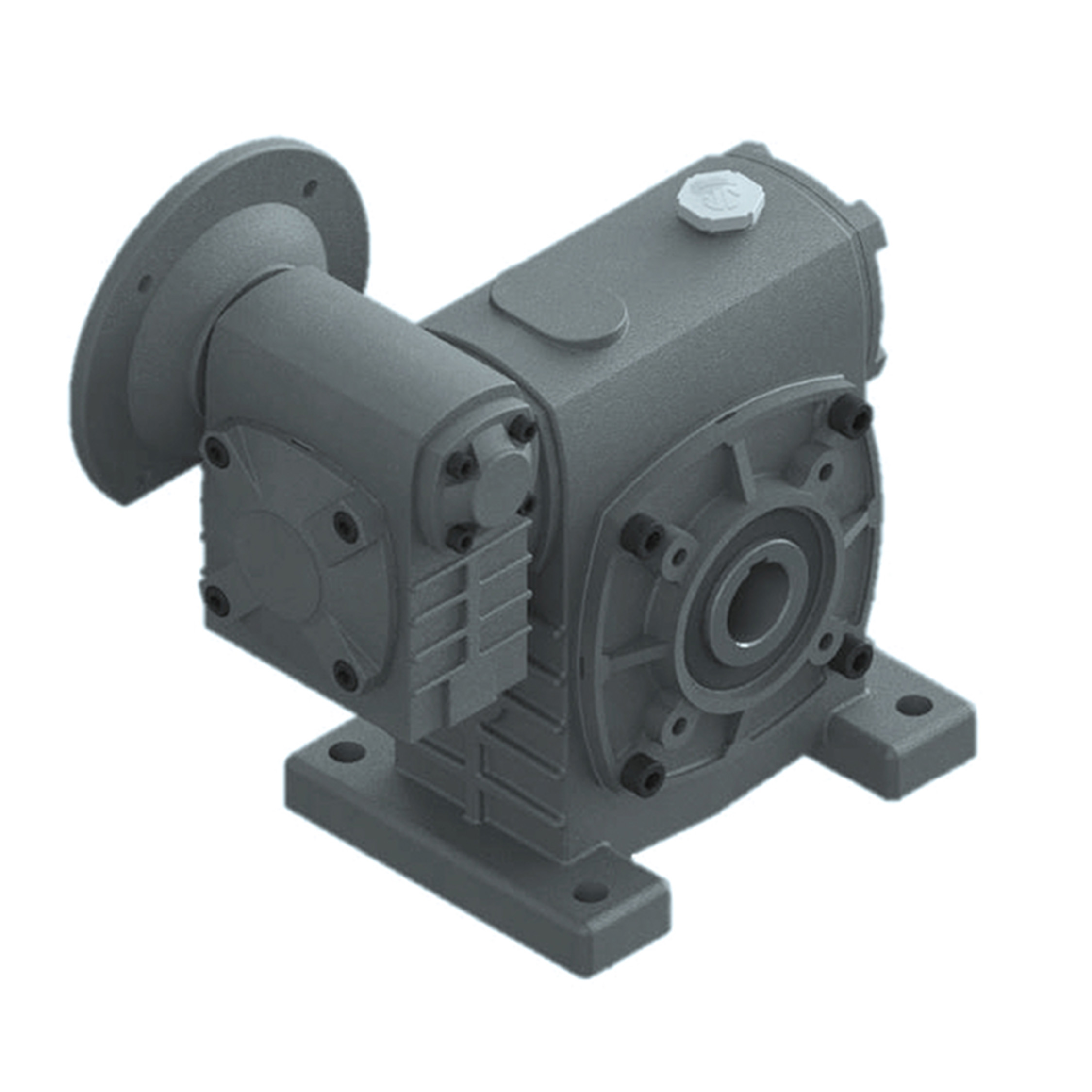 Worm Gear Reducer PAWEH