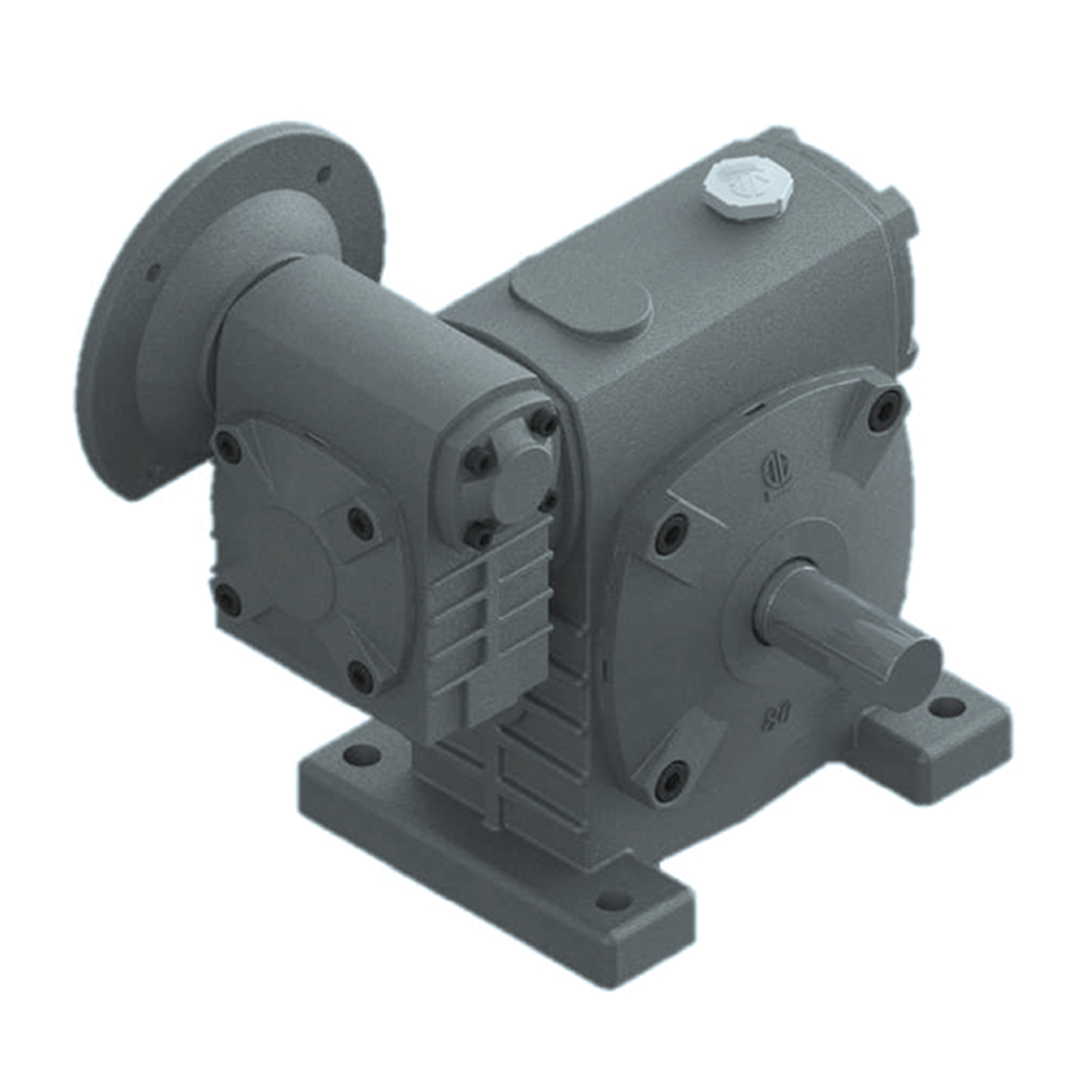 Worm Gear Reducer PAWE